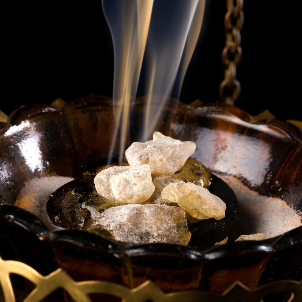 Bestia Sacra - Image 7