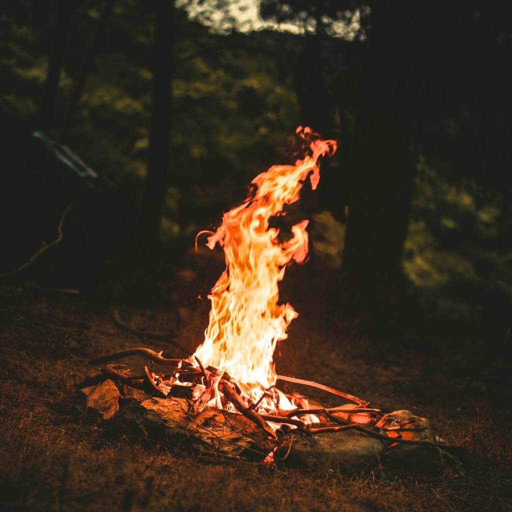 Bestia Sacra - Image 6