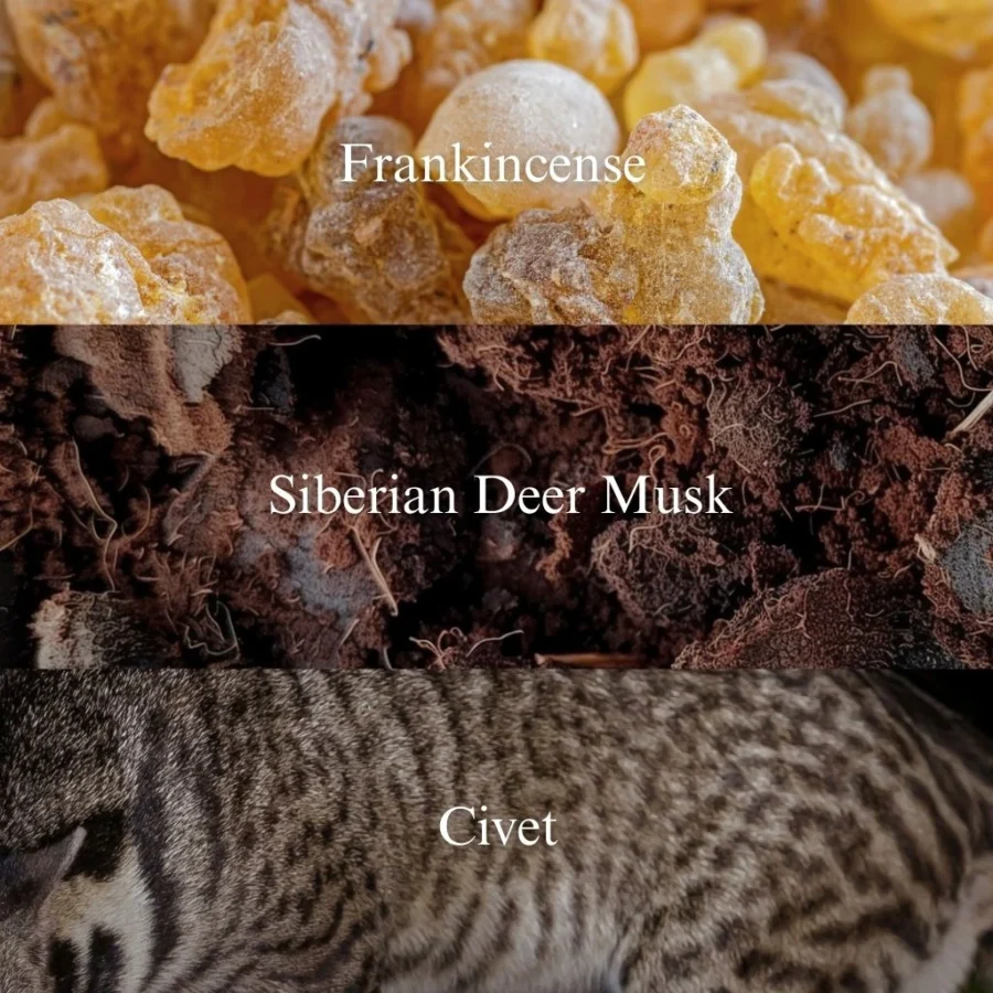 Bestia Sacra - Image 4