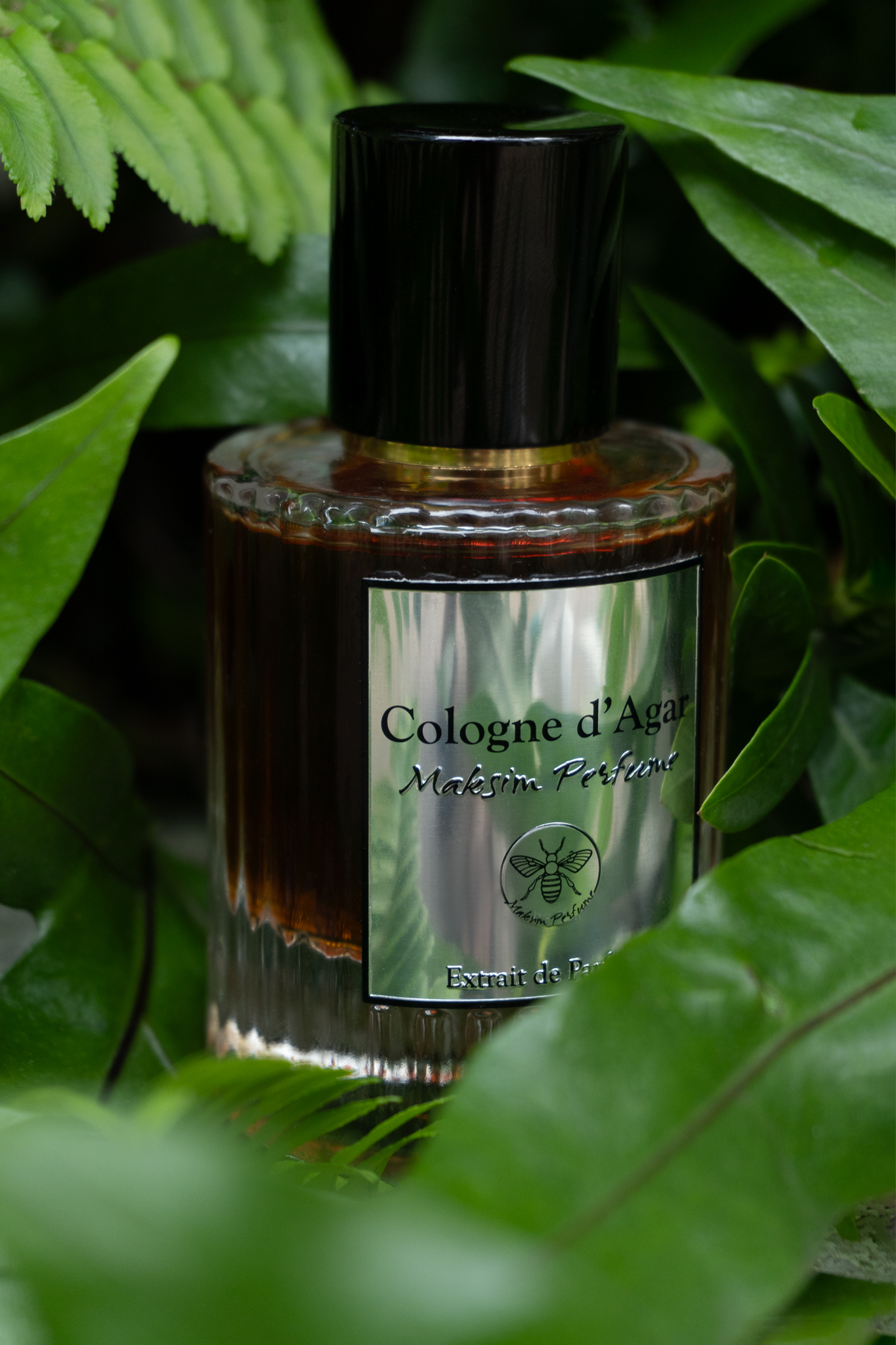 Cologne d'Agar